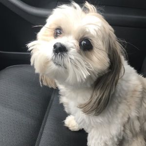 Meet your Posher, Katelyn